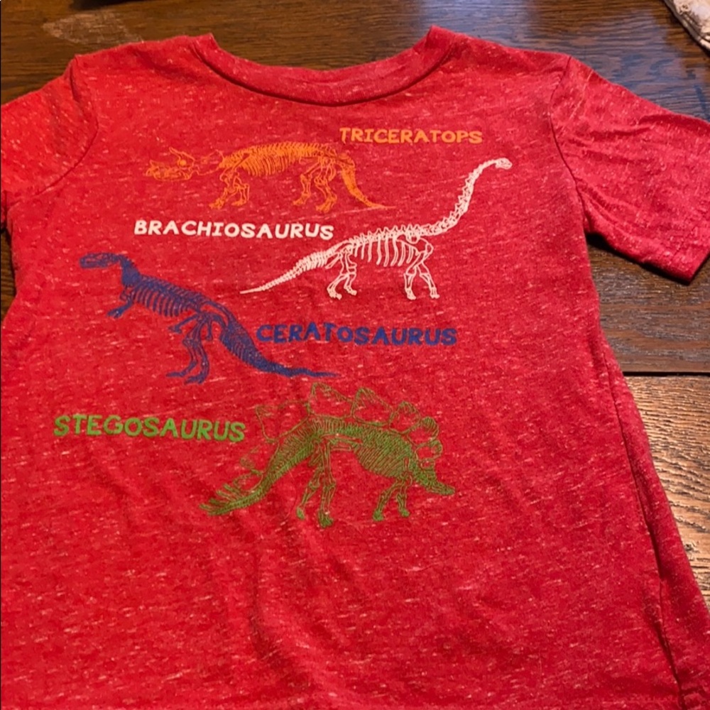 Dinosaur t-shirt.